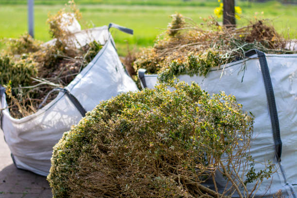 Best Construction Debris Removal  in Badieville, LA